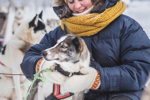 Levi: Guide-driven Husky Safari