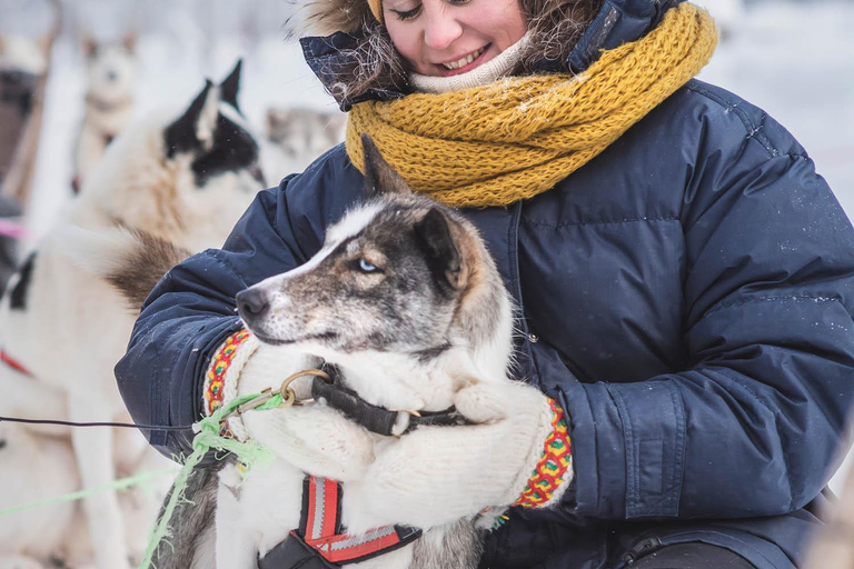 Levi: Guide-driven Husky Safari