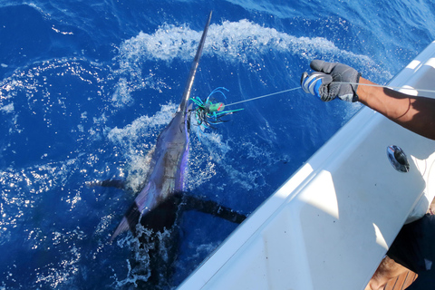 From Funchal : Big Game Fishing boat trip Half day private tour up to 10 people