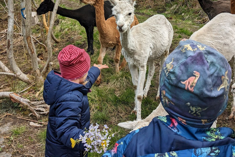 Vik i Sogn: Authentischer Bauernhofbesuch