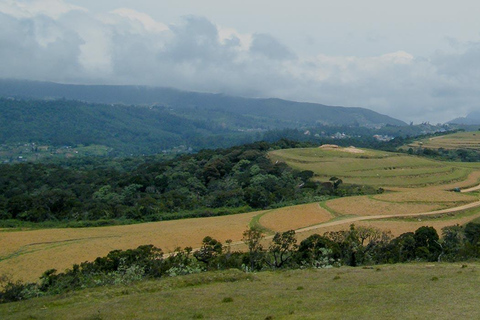 Sri Lanka: Viagem de 12 dias de aventura panorâmica