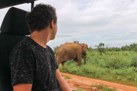 Mirissa: Udawalawe e YALA Safaris + almoço, desembarque: Ella