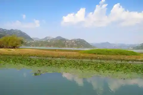 Von Bar: Land- und Bootstour auf dem Skadar-See