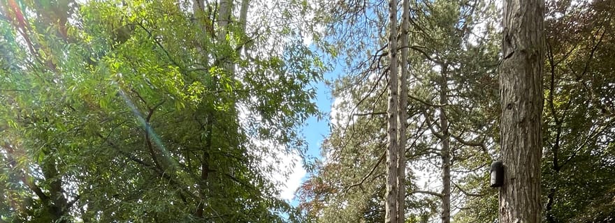 Visite du château de Belfast, des murs de la paix et des peintures murales