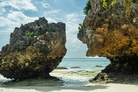 Zanzibar: Secret Beach, Kuza Cave e Jozani con trasferimentoSpiaggia Segreta, Grotta di Kuza e foresta di Jozani con trasferimento