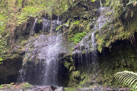 Vanuit San José: Buiten de gebaande paden Watervallen &amp; Grotten Tour