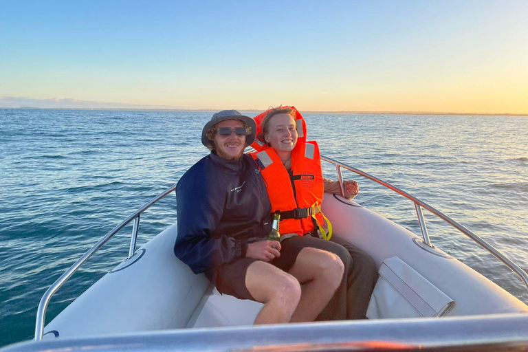 رحلات السفاري في المحيط وصيد الأسماك في خليج سانت فرانسيس