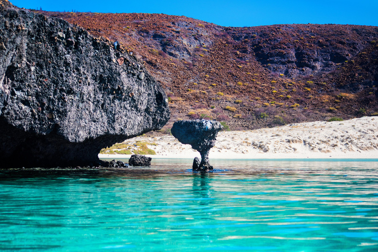All-inclusive Snorkel in Balandras Hidden beaches, La Paz
