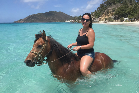 St. Maarten: Scenic Horseback Ride & Caribbean Sea Swim Private St. Maarten: Horseback Ride & Caribbean Sea Swim