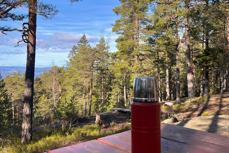 Oslo: Forest Hike with Panoramic Fjord Views and a dog