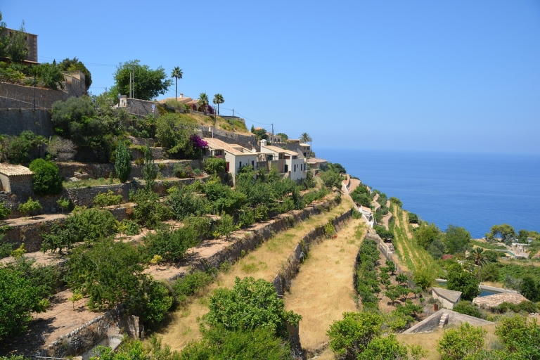 Mallorca: wijntour door het eilandcentrum