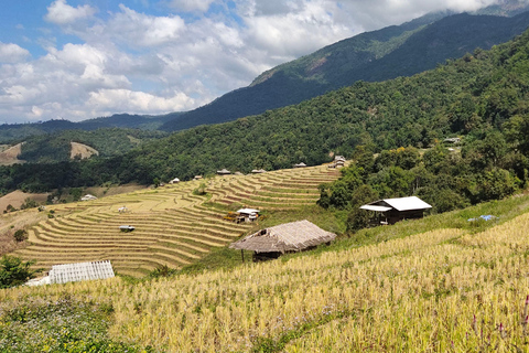 En privado: Terrazas de arrozales y Parque Nacional de Doi Inthanon.