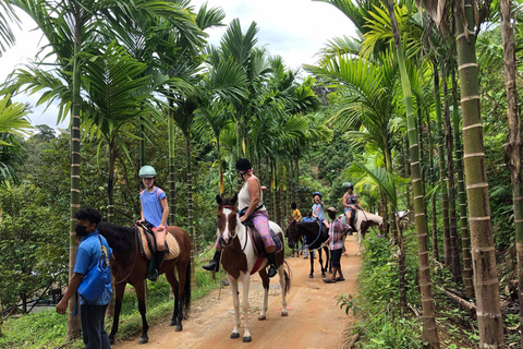 Phuket Jungle Horseback Ride with Scenic Forest Views Adventure Trail (2 Hrs)
