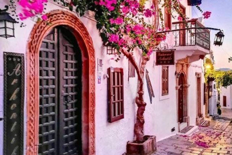 From Rhodes: Bus Tour to Lindos and the Seven Springs