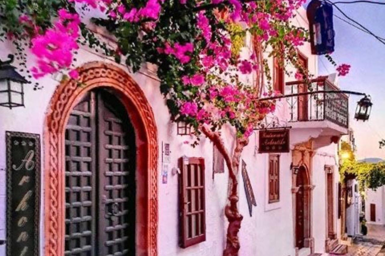 From Rhodes: Bus Tour to Lindos and the Seven Springs