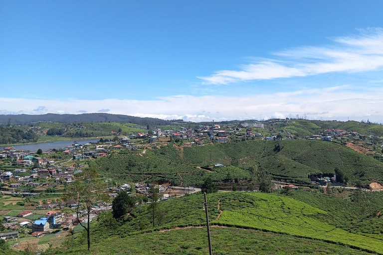 From Kandy: Nuwara Eliya Day Tours (Ambewela Railway Drop)