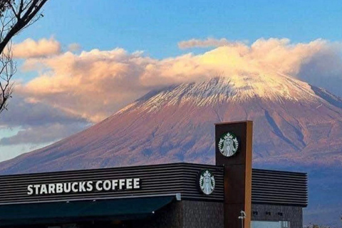 Tokyo: Mount Fuji Must See Private Tour Adjustable Itinerary
