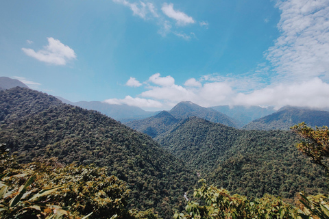 COSTA RICA:UPPTÄCK COSTARICAS VILDA DJUR-STRAND &amp; SKOG 2VECKOR