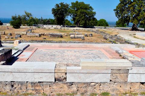 Aigai: Museo policentrico e tombe reali Biglietto elettronico con audio