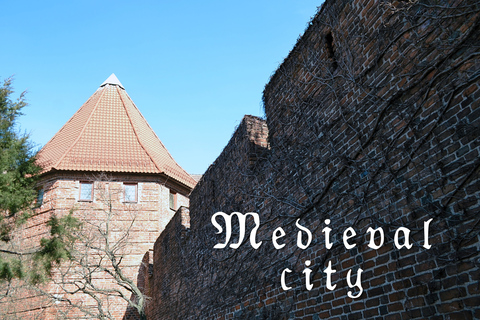 Medieval Gdańsk: merchants, knights and monks