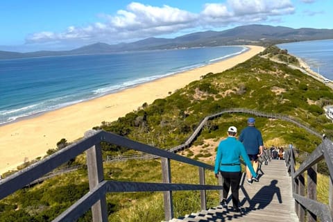 Bruny Island Discovery Day Tour - Image 2