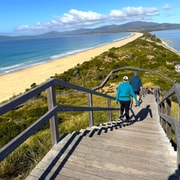 Bruny Island Discovery Day Tour