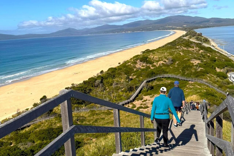 Bruny Island Discovery Day Tour