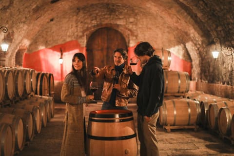 Private 3-Day Valpolicella Wine Experience from Florence