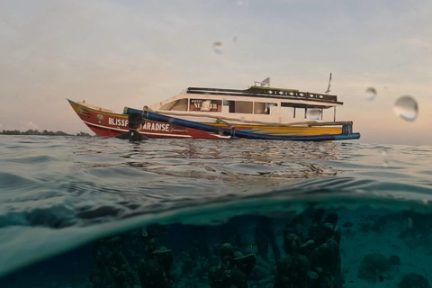 Gili Trawangan : Privat & Sharing Snorkeling Tour 3 Gili Star From Gili Trawangan Sharing Snorkeling Tour 3 Gili
