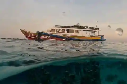 Gili Trawangan : Privat & Sharing Snorkeling Tour 3 Gili