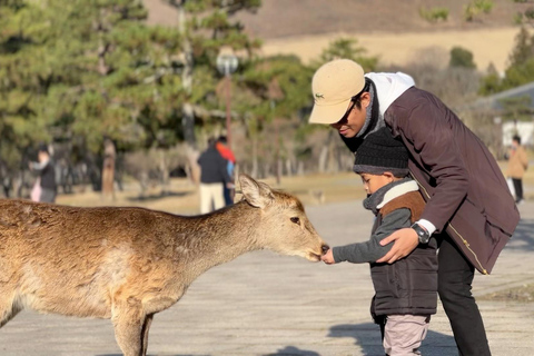 Nara e Arashiyama: excursão de ônibus com veados, bambu e templosDe Quioto