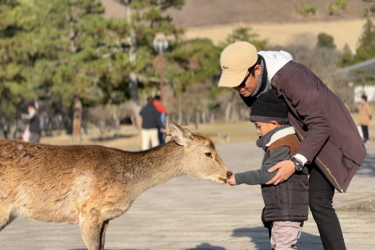 نارا وأراشيياما: جولة بالحافلة لمشاهدة الغزلان والخيزران والمعابدمن كيوتو