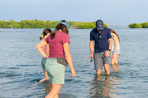 From Negombo: Boat Tour of Negombo Lagoon
