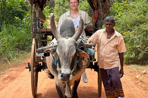 From Kandy: Sigiriya Rock and Village Safari Day Trip