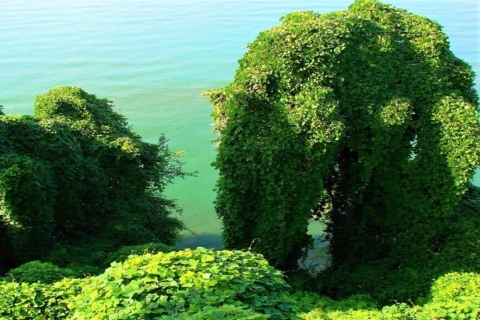Botanische tuin van Batumi Petra Fort en miniaturenpark