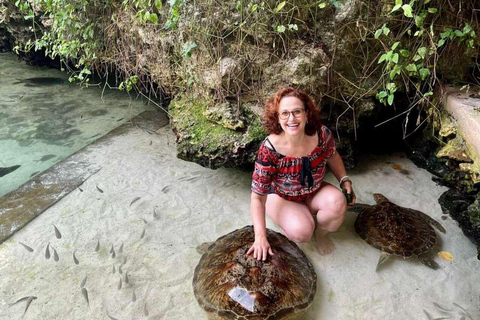 ZANZIBAR: Stone Town, snorkling + sjöstjärnor och havssköldpaddorVIKTIGT: TRANSFER INGÅR INTE I DET ALTERNATIV DU VÄLJER