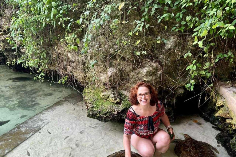 ZANZIBAR: Stone Town, snorkling + sjöstjärnor och havssköldpaddorVIKTIGT: TRANSFER INGÅR INTE I DET ALTERNATIV DU VÄLJER