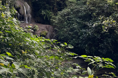 Archaeological Zone of Palenque: Guided Tour of Mayan Temples