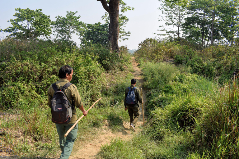 Katmandú: Excursión de 3 días a Chitwan Safari con traslado al hotel