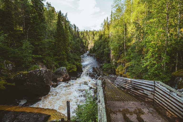 Lapland Day Tour: From Best Attractions to Midnight Sun