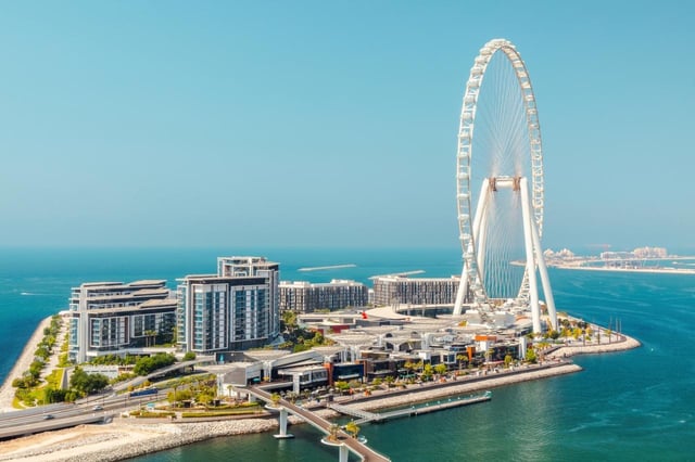 Dubai: Ain Dubai Wheel, Blue Mosque &amp; Half-Day Guided Tour