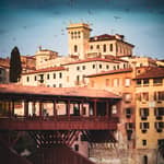 Tour a Bassano del Grappa: visita alla città e degustazione di grappe