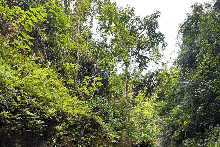 Cebu: Aventura de canyoning nas cataratas de Kawasan com transferes