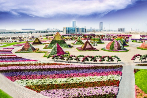 Dubai: Vierstündige Tour durch Flora und Fauna