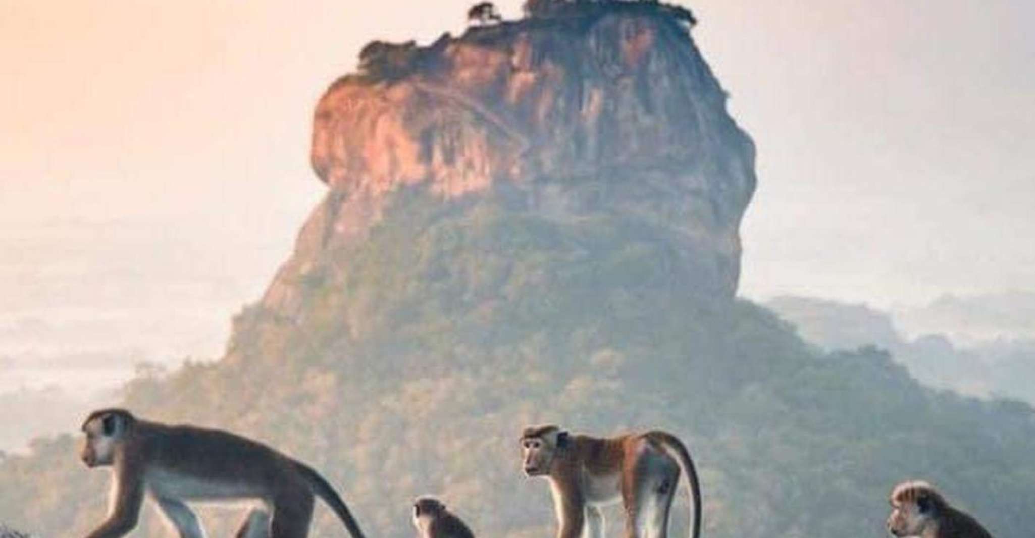 Alba Escursione a Sigiriya Lions Rock o Pidurangala - Hizvo