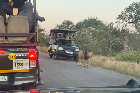 Jednodniowa wycieczka na safari w Johannesburgu - Pilanesberg Big 5 Adventure