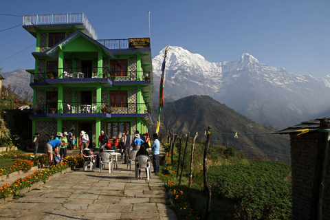 Z Pokhary: prywatna 3-dniowa pętla trekkingowa do Ghandruk