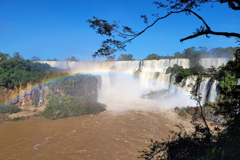 Iguassu Waterfalls Private Day Tour: Both sides, same day!