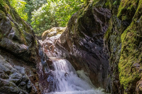 Puntarenas: Rainmaker Park Guided Tour with Lunch