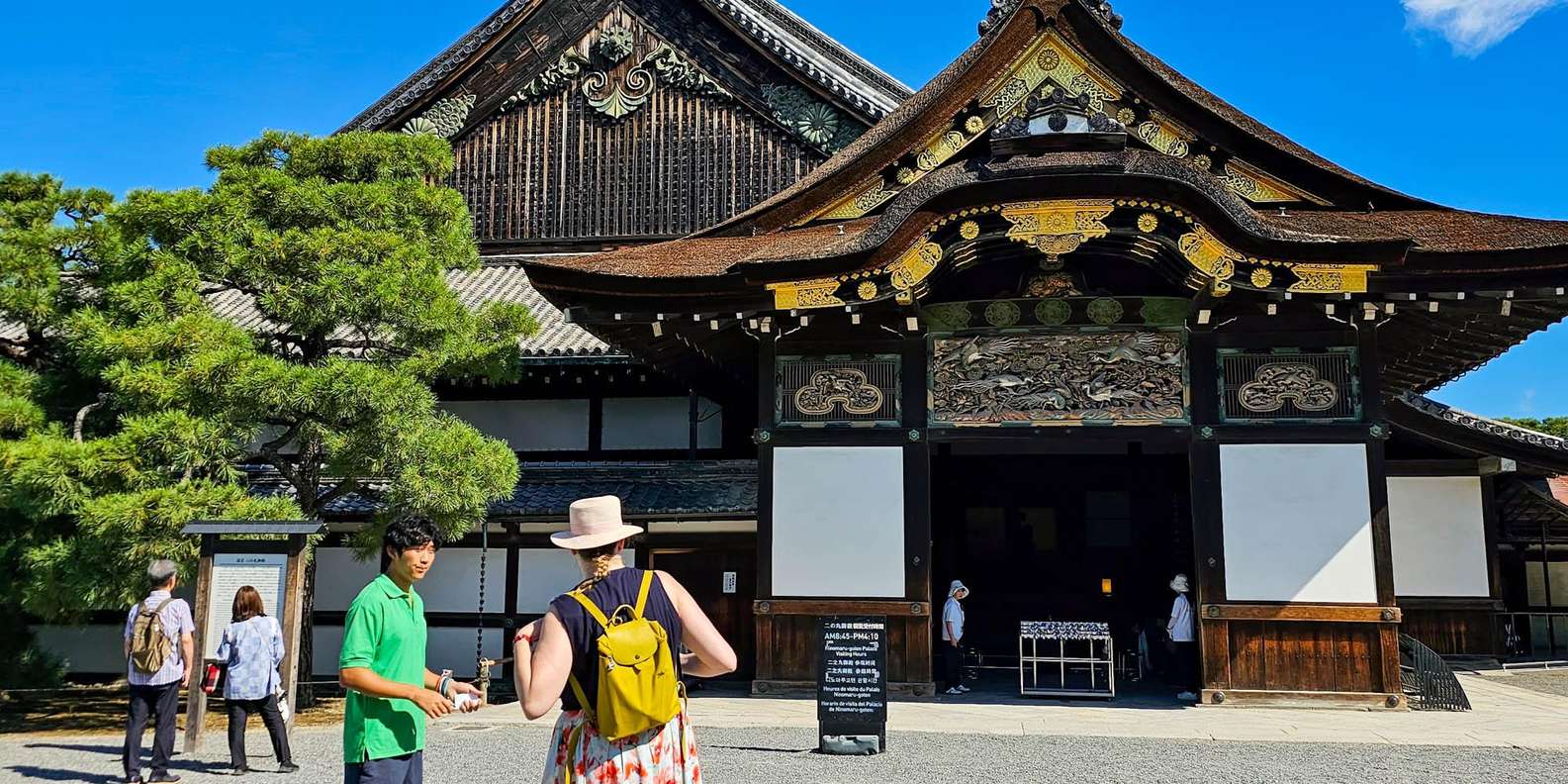 Kyoto experience — temples, geisha, bamboo grove — image 15